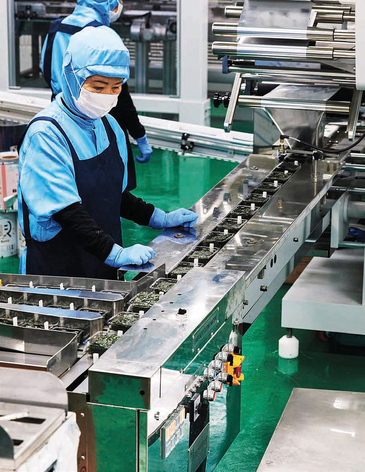 A worker in sanitary uniform inspecting roasted gim on a stainless Smart HACCP line